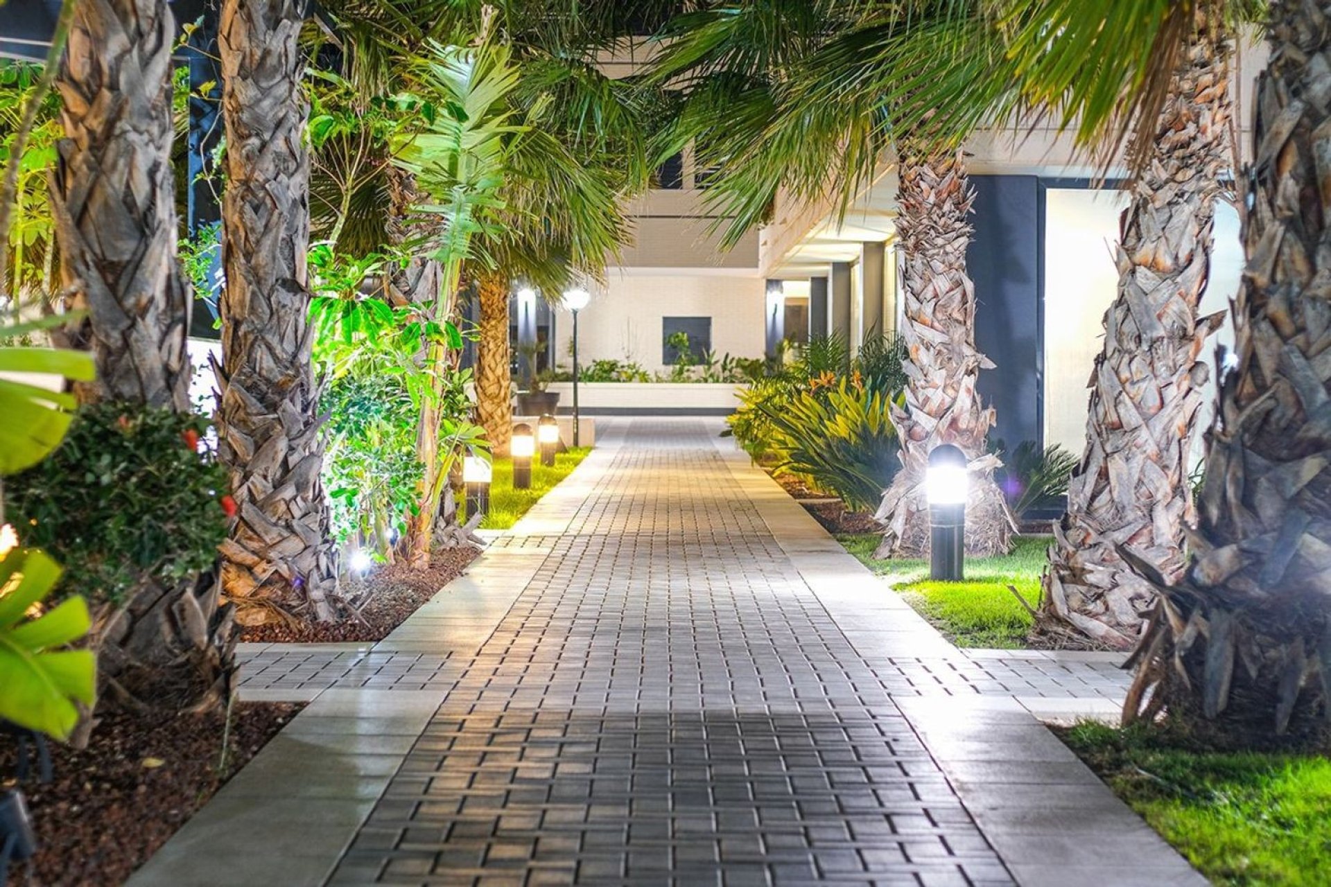 Reventa - Apartamento - Alicante (San Juan) - San Juan de Alicante