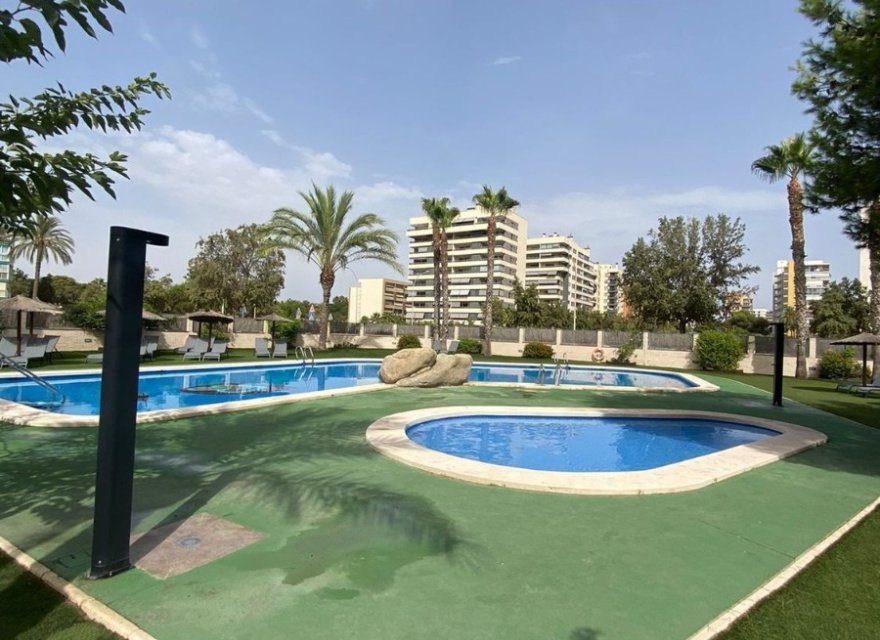 Reventa - Apartamento - Alicante (San Juan) - San Juan de Alicante