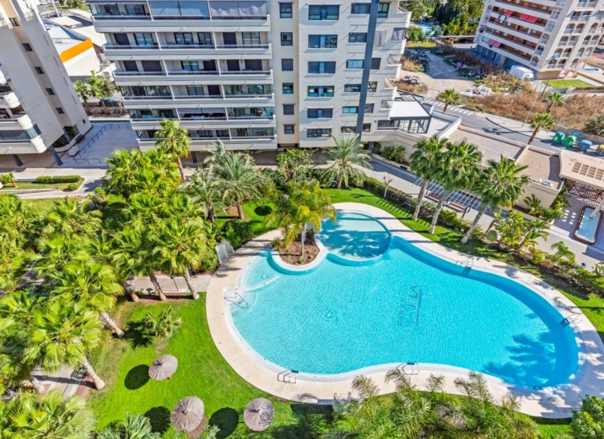 Reventa - Apartamento - Alicante (San Juan)