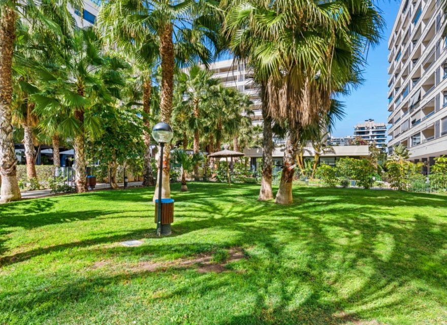 Reventa - Apartamento - Alicante (San Juan)