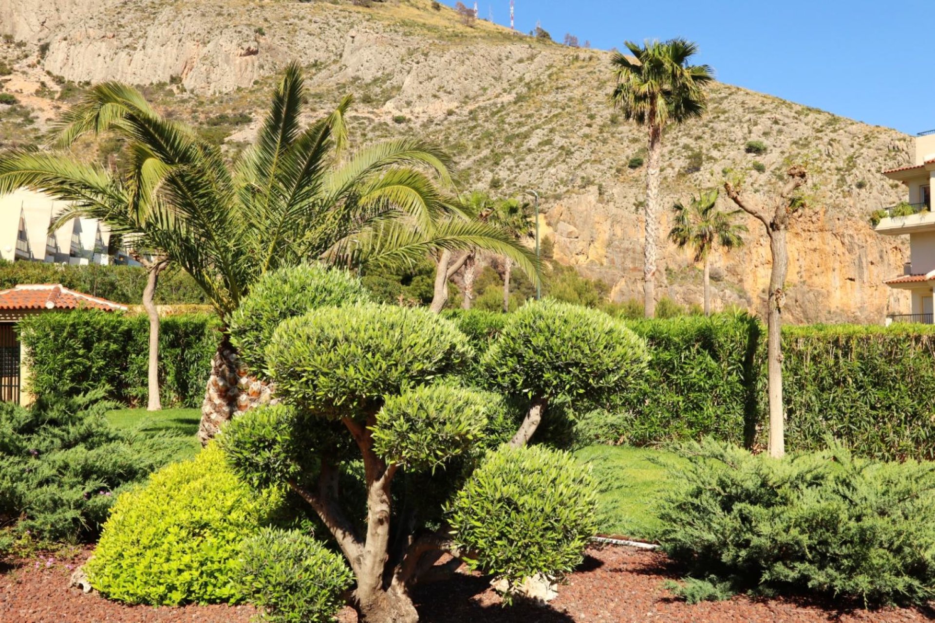 Reventa - Apartamento - Altea - Costa Blanca