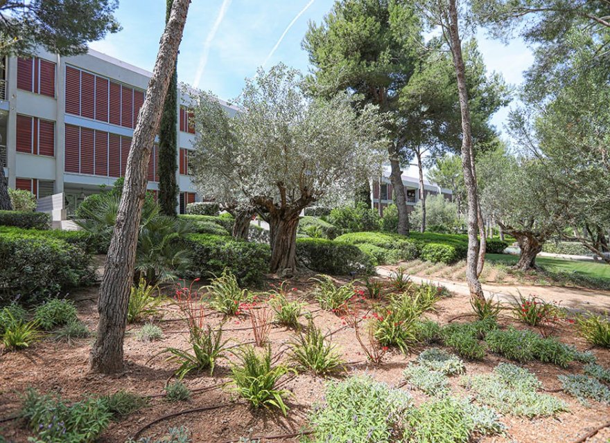 Reventa - Apartamento - Bendinat