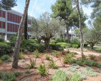 Reventa - Apartamento - Bendinat