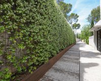 Reventa - Apartamento - Bendinat