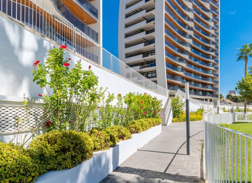 Reventa - Apartamento - Benidorm - Playa Poniente