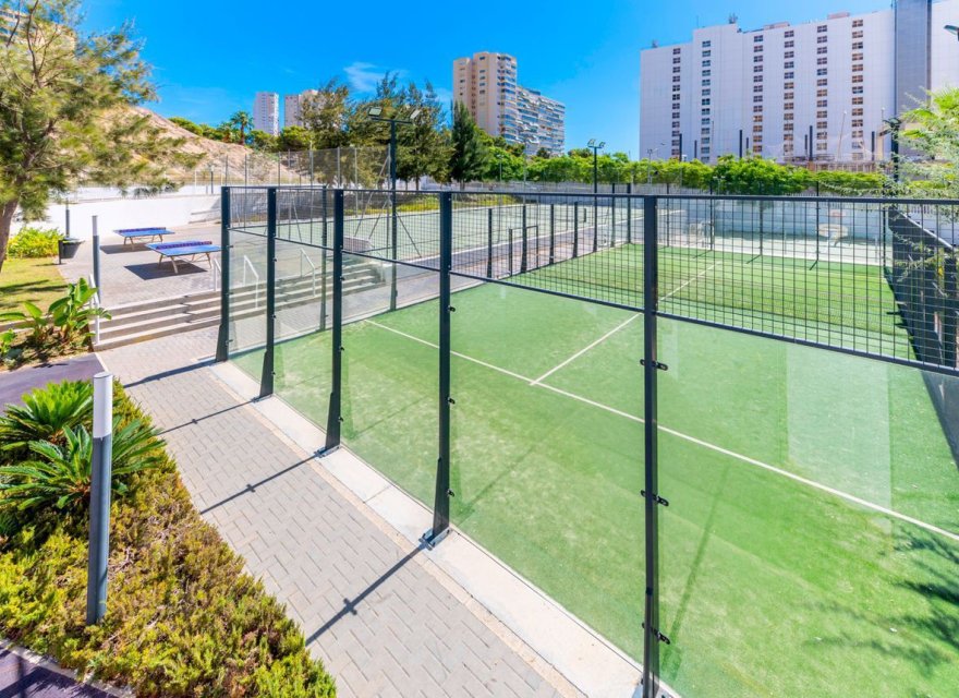 Reventa - Apartamento - Benidorm - Playa Poniente