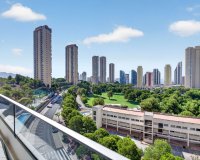 Reventa - Apartamento - Benidorm