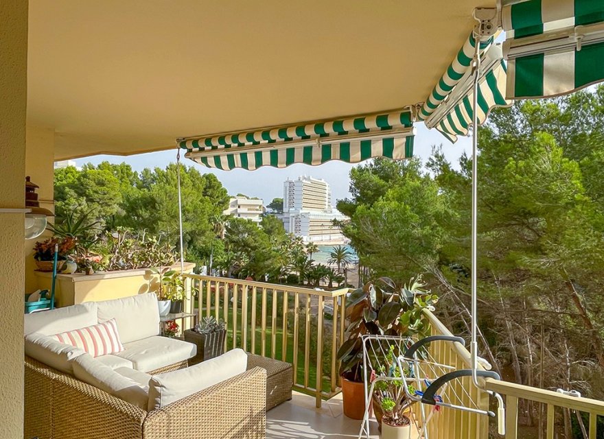 Reventa - Apartamento - Cala Viñes
