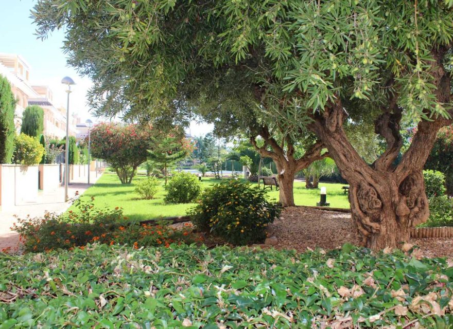 Reventa - Apartamento - Denia - Costa Blanca