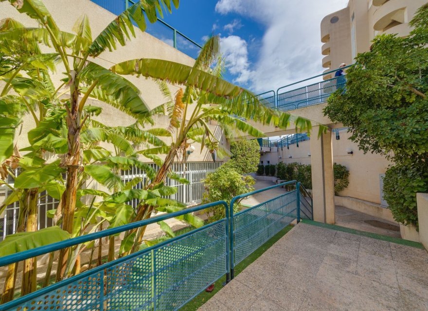 Reventa - Apartamento - El Campello - Playa Muchavista