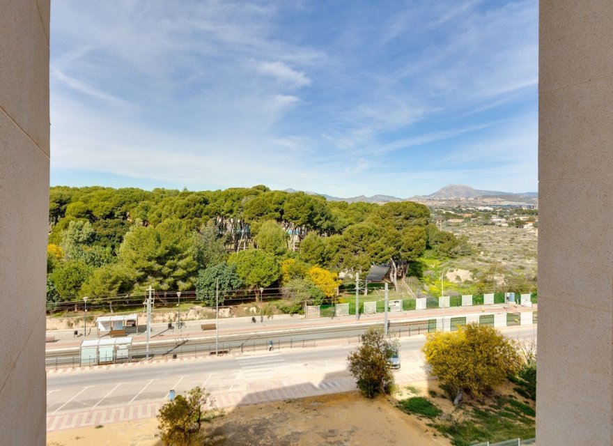 Reventa - Apartamento - El Campello - Playa Muchavista