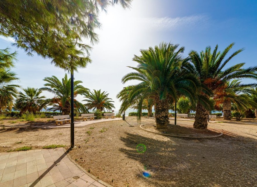 Reventa - Apartamento - El Campello - Playa Muchavista