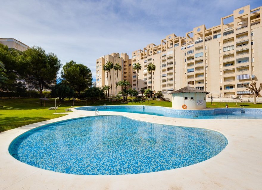 Reventa - Apartamento - El Campello - Playa Muchavista