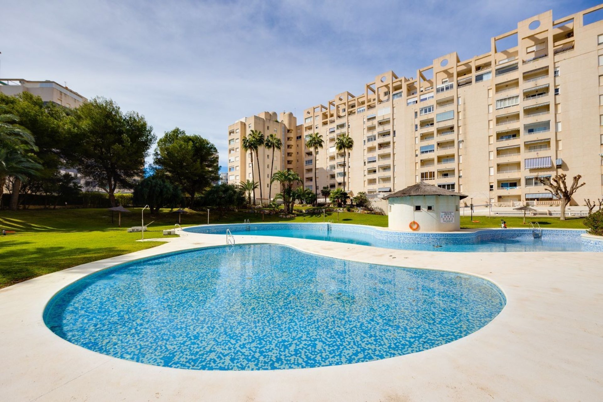 Reventa - Apartamento - El Campello - Playa Muchavista