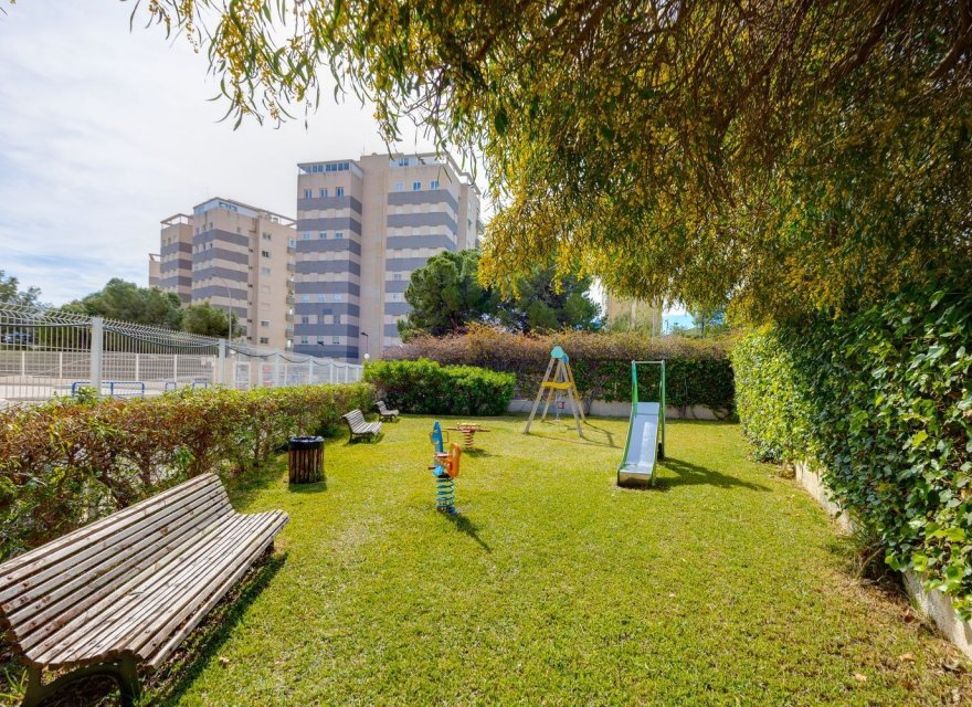 Reventa - Apartamento - El Campello - Playa Muchavista