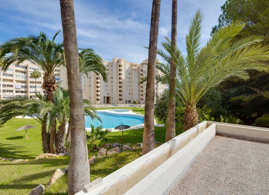 Reventa - Apartamento - El Campello - Playa Muchavista