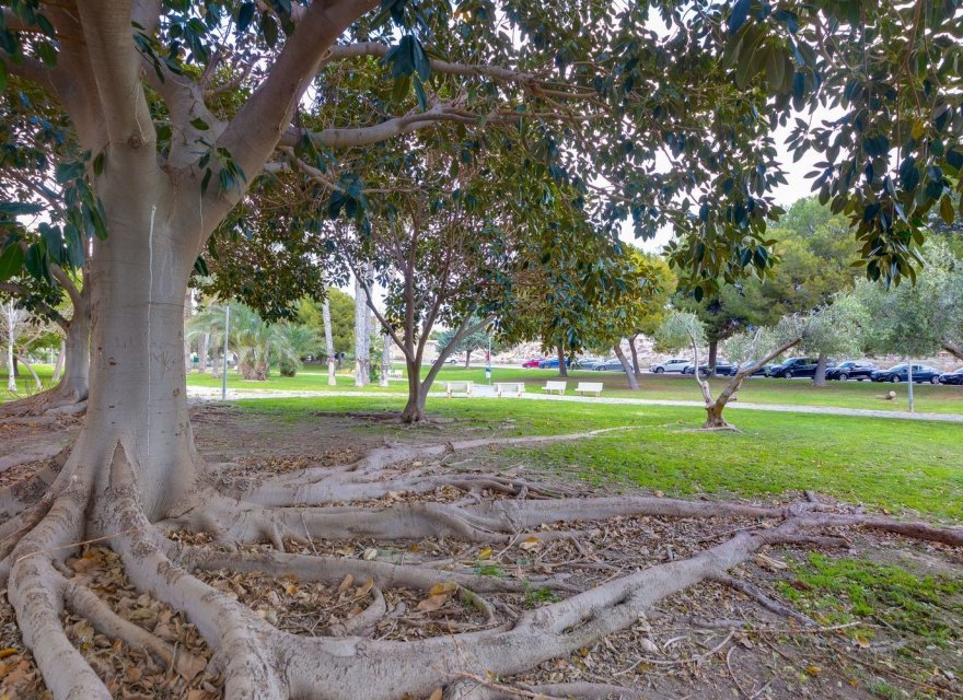 Reventa - Apartamento - El Campello - Playa Muchavista