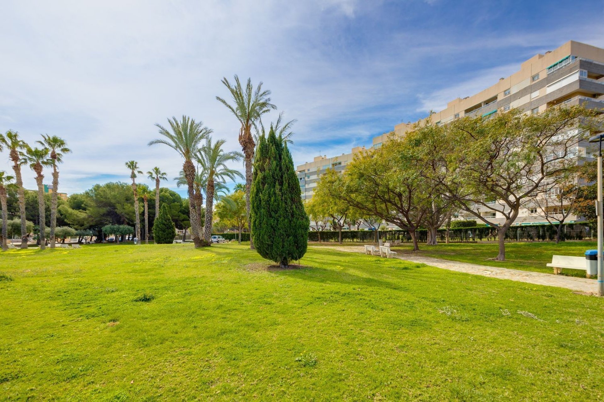 Reventa - Apartamento - El Campello - Playa Muchavista