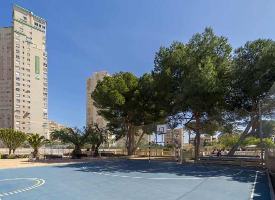 Reventa - Apartamento - El Campello - Playa Muchavista