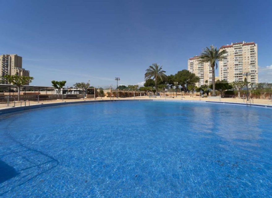Reventa - Apartamento - El Campello - Playa Muchavista