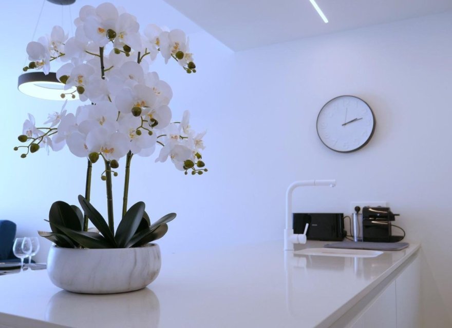 Reventa - Apartamento - Guardamar del Segura - Puerto