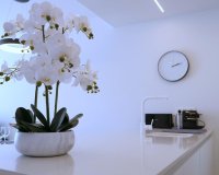 Reventa - Apartamento - Guardamar del Segura - Puerto