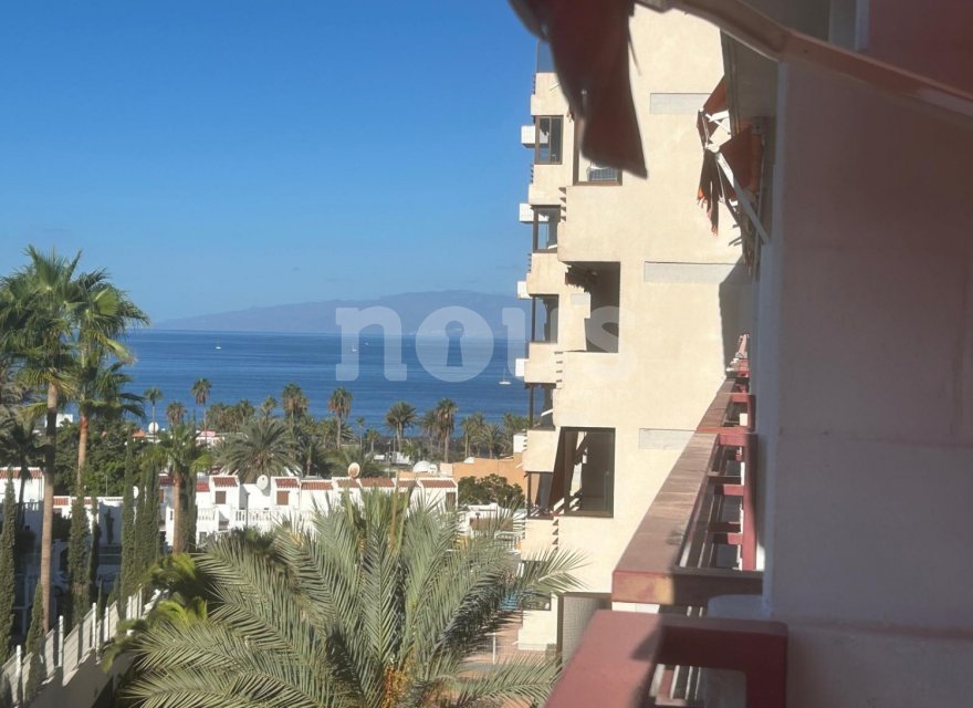 Reventa - Apartamento - Las Americas (Adeje) - Olympia