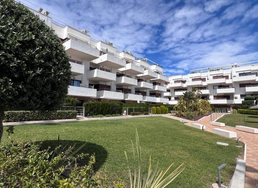 Reventa - Apartamento - Orihuela Costa - Lomas de Cabo Roig