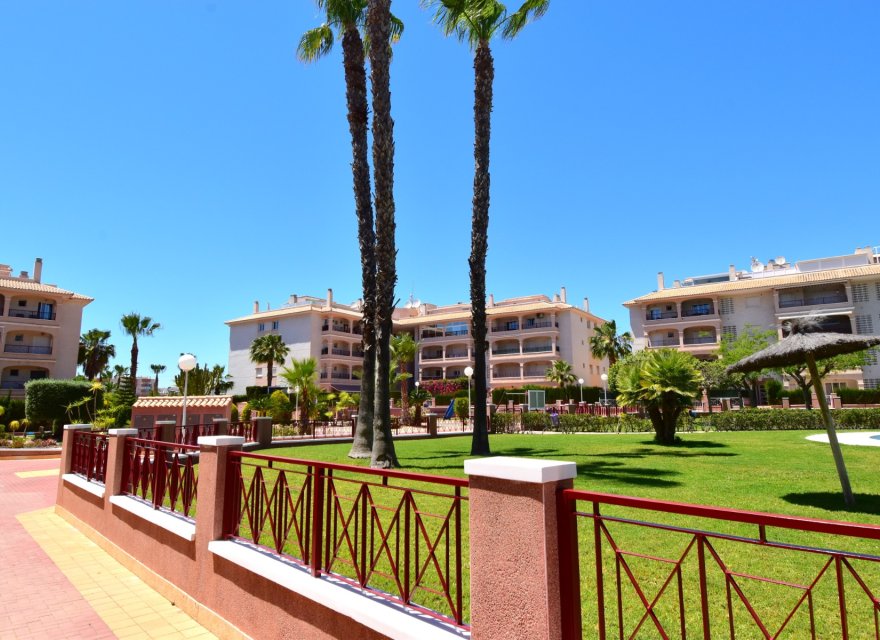 Reventa - Apartamento - Orihuela Costa - Playa Flamenca