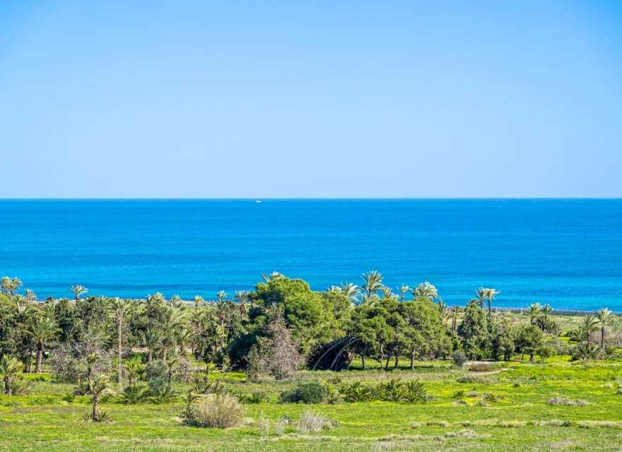 Reventa - Apartamento - Orihuela Costa - Punta Prima