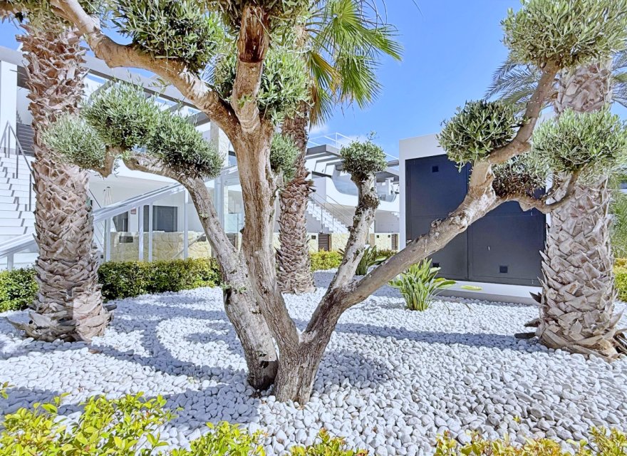 Reventa - Apartamento - Orihuela Costa - Punta Prima