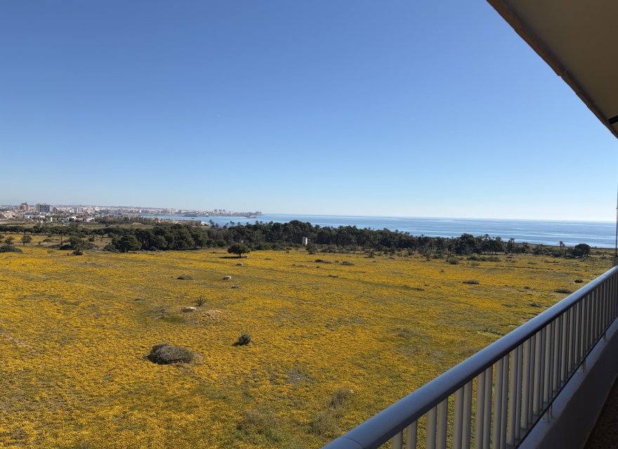 Reventa - Apartamento - Orihuela Costa - Punta Prima