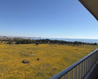 Reventa - Apartamento - Orihuela Costa - Punta Prima