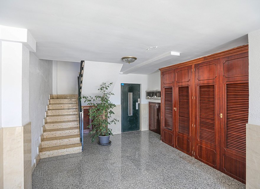 Reventa - Apartamento - Palma de Mallorca - Arenal