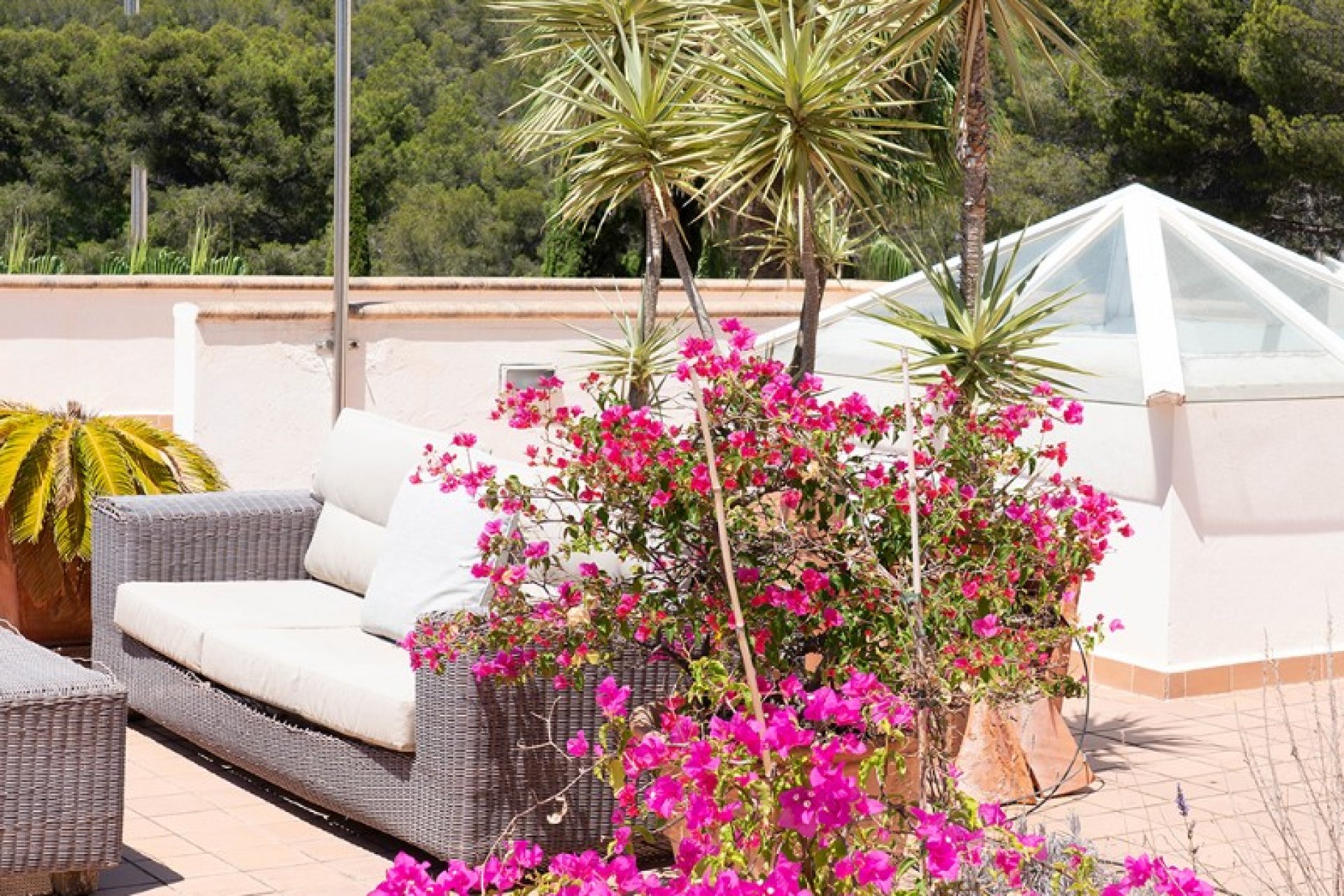 Reventa - Apartamento - Palma de Mallorca - Cala Mayor