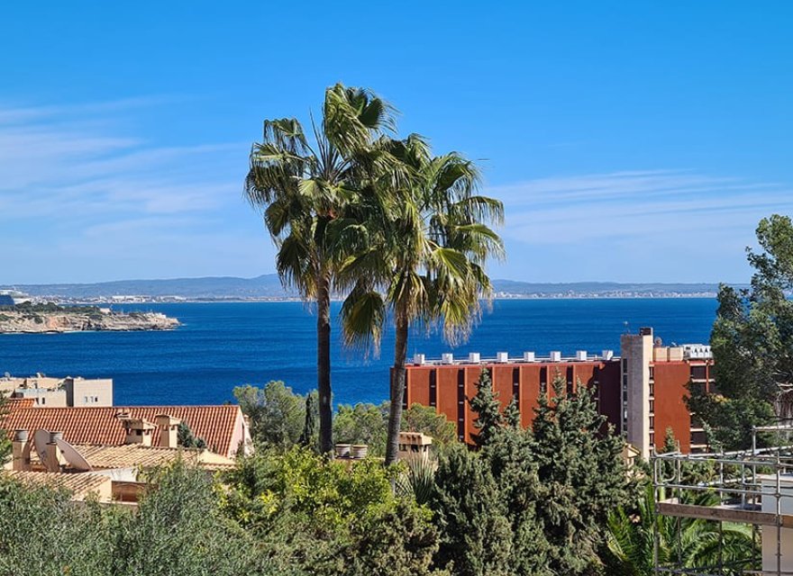 Reventa - Apartamento - Palma de Mallorca - Cas Catala