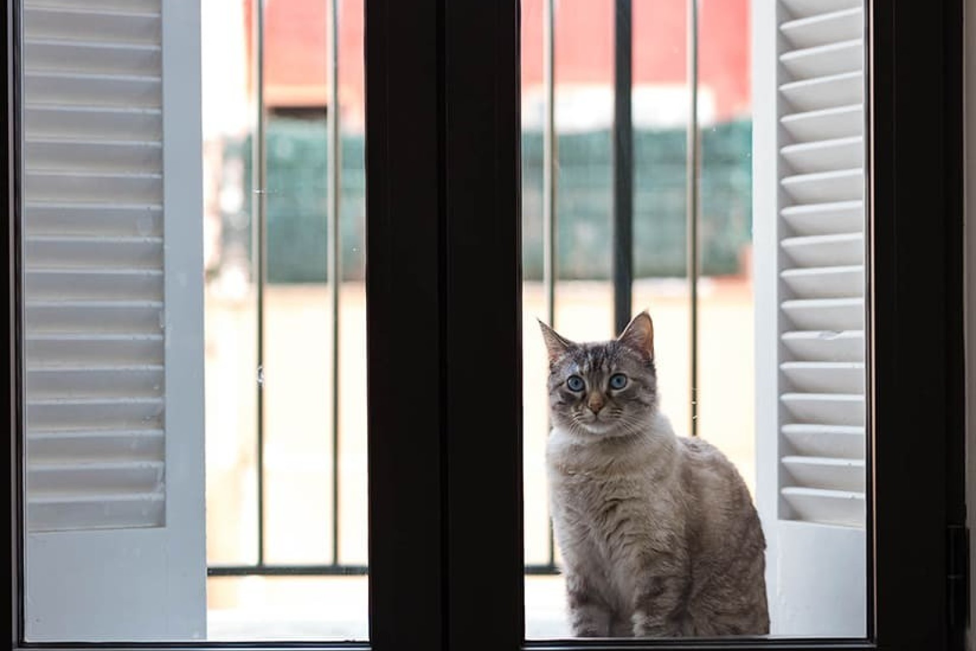 Reventa - Apartamento - Palma de Mallorca - Palma