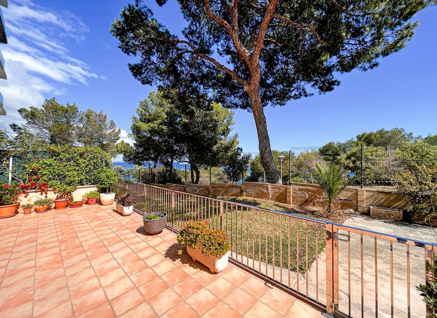 Reventa - Apartamento - Palmanova