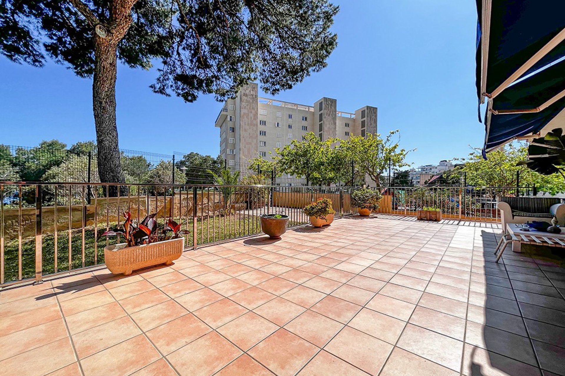 Reventa - Apartamento - Palmanova