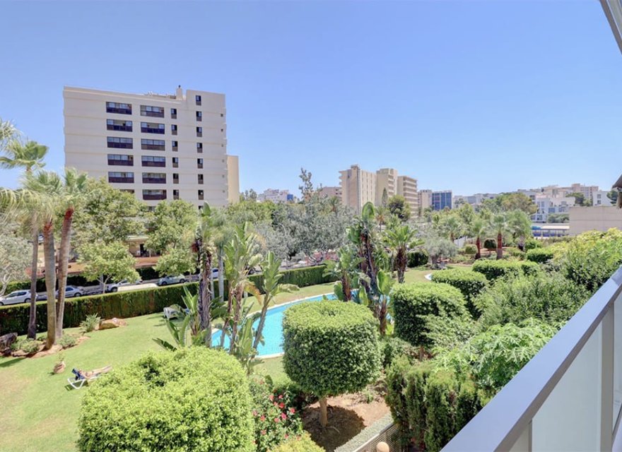 Reventa - Apartamento - Palmanova