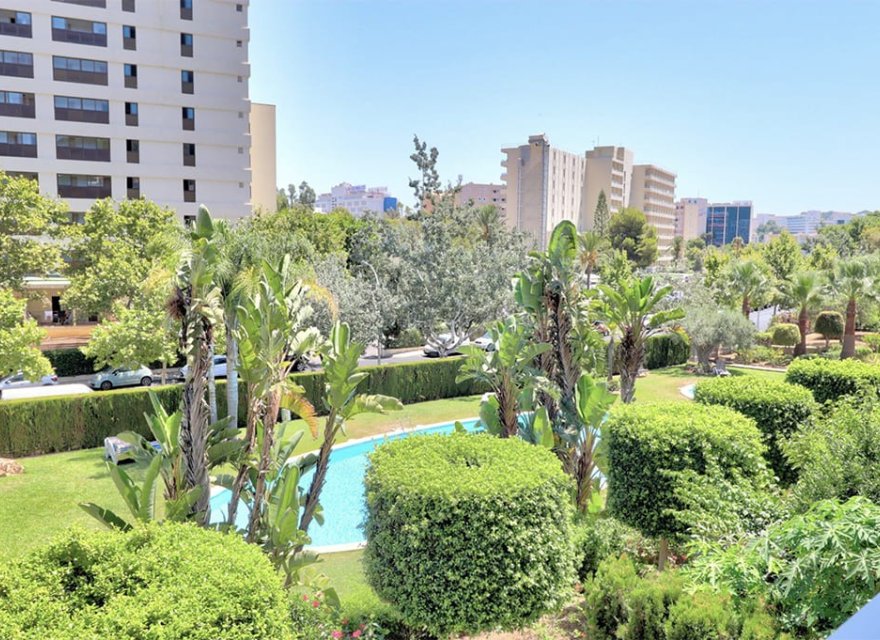 Reventa - Apartamento - Palmanova