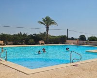 Reventa - Apartamento - Punta Prima