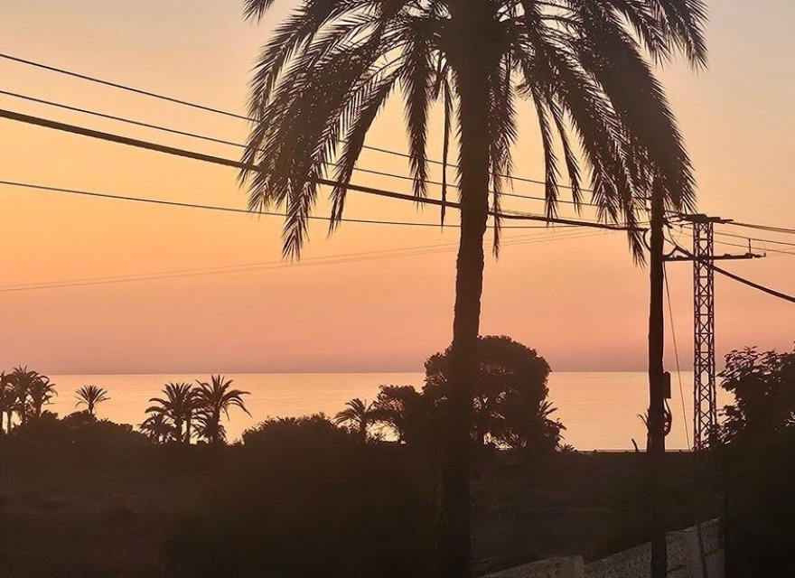 Reventa - Apartamento - Punta Prima