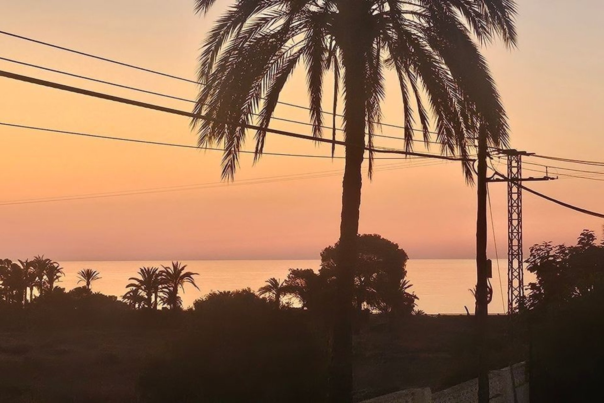 Reventa - Apartamento - Punta Prima