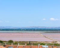 Reventa - Apartamento - Santa Pola