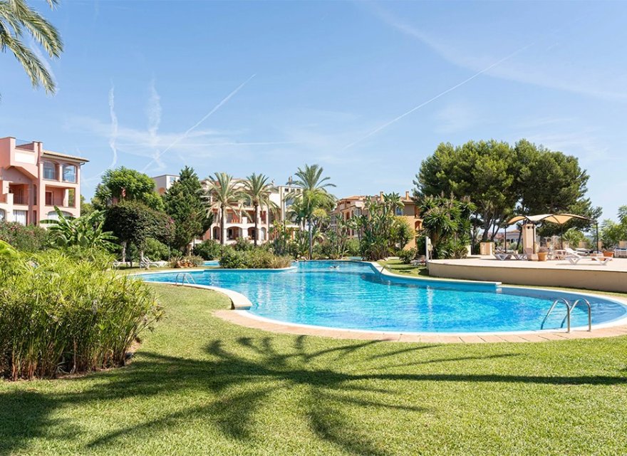 Reventa - Apartamento - Santa Ponsa