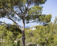 Reventa - Apartamento - Santa Ponsa