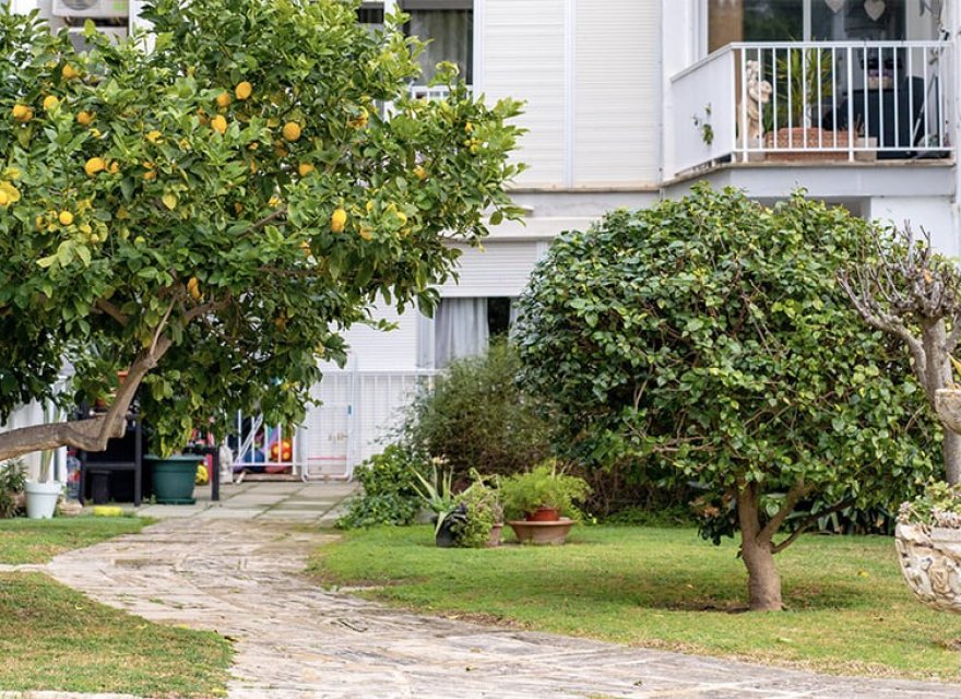 Reventa - Apartamento - Santa Ponsa