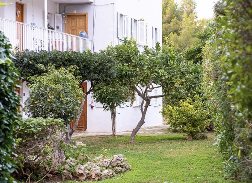 Reventa - Apartamento - Santa Ponsa