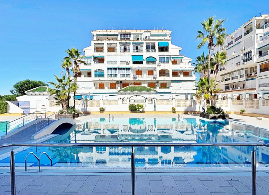 Reventa - Apartamento - Torrevieja - La Mata